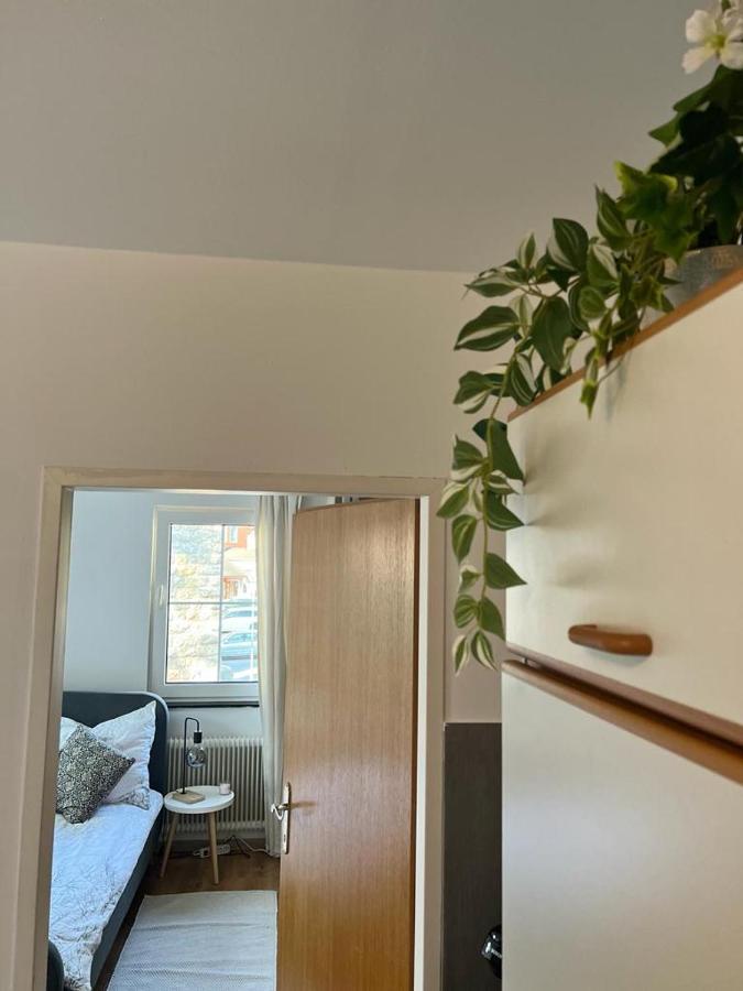 Moderne Ferienwohnung Nahe Zentrum Waidhofen/Ybbs Екстериор снимка